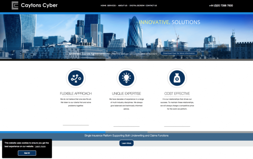 Caytons Cyber - IT website design