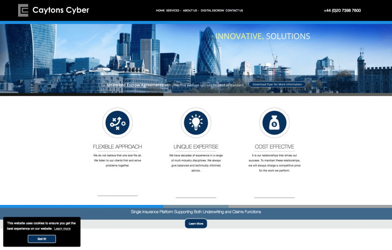 Caytons Cyber - IT website design